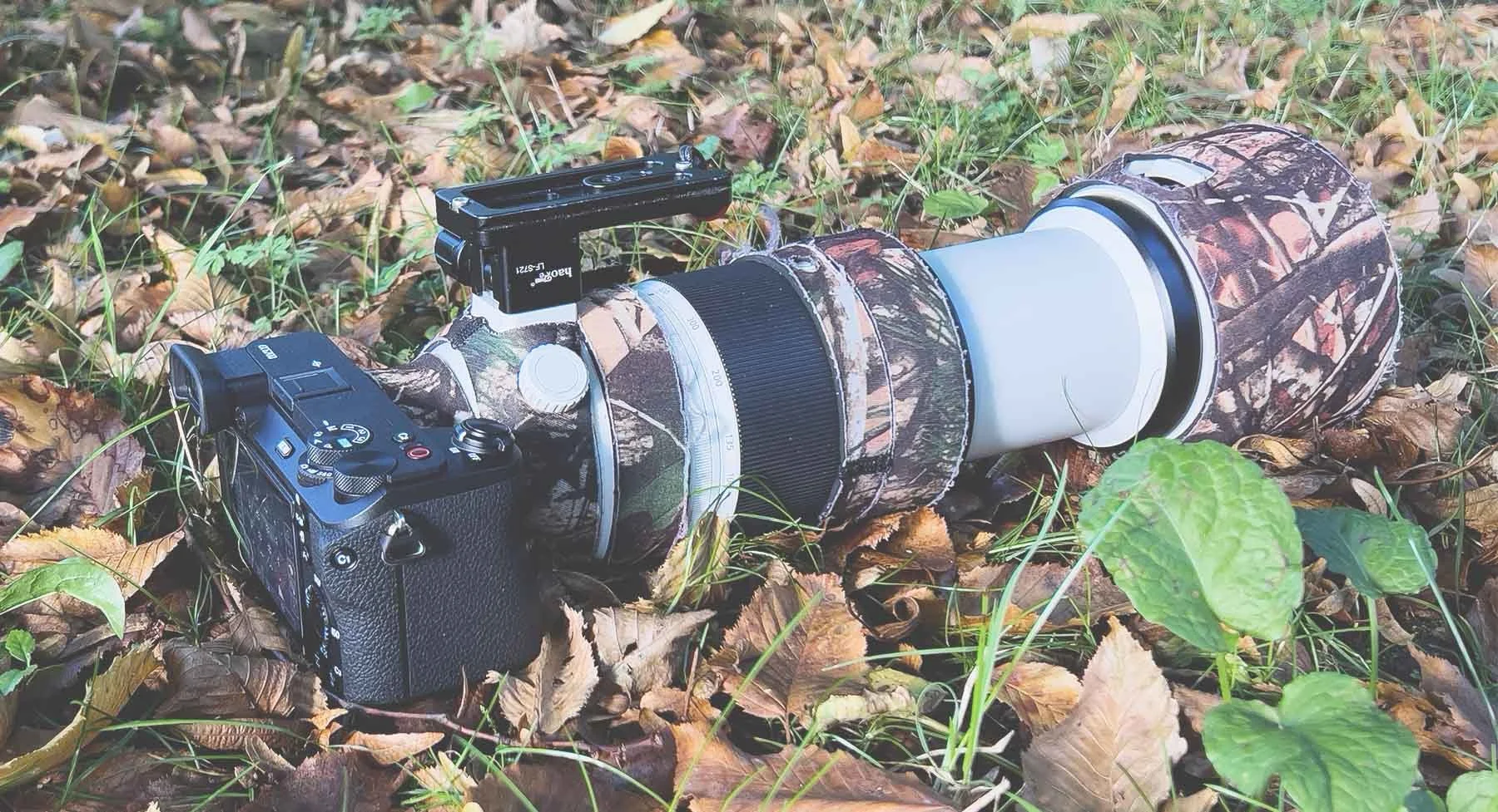 Sony a6700 mit getarntem 100–400-mm-Teleobjektiv auf herbstlichem Laub